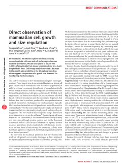 Direct observation of mammalian cell growth and size regulation