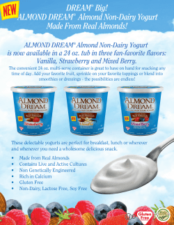 Almond Dream&reg; Non-Dairy Yogurt 24 Ounce