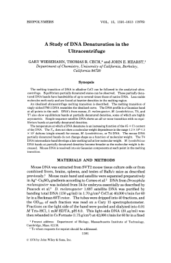 A study of DNA denaturation in the ultracentrifuge