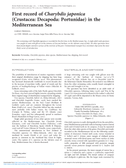 in the Mediterranean Sea