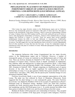 PHYLOGENETIC PLACEMENT OF PODOLOTUS SUGGESTS