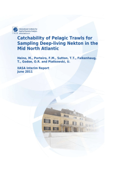 Catchability of Pelagic Trawls for Sampling Deep