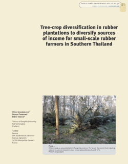 the article - Bois et for&ecirc;ts des tropiques