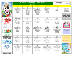 alburtis elementary lunch menu