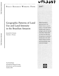 48 pages - World bank documents
