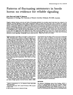 Patterns of fluctuating asymmetry in beetle horns