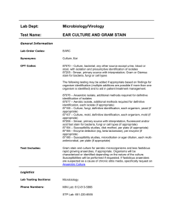 Ear Culture and Gram Stain