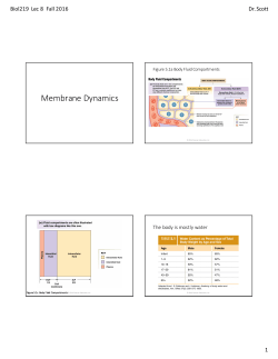 Biol219Lec8MembraneDynamicsHO