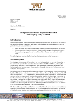 Emergency Geotechnical Inspection of Rockfall