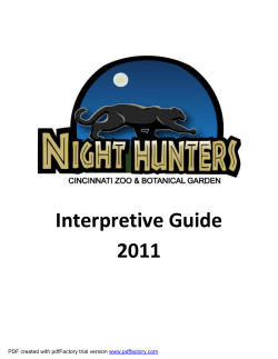 Night Hunters Interpretive Guide