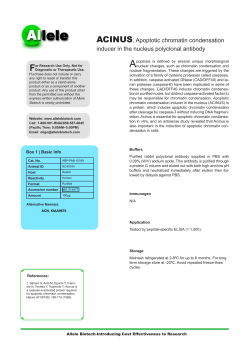ACINUS, Apoptotic chromatin condensation inducer