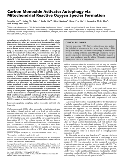 Carbon Monoxide Activates Autophagy via