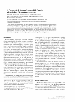 A Photosynthetic Antenna System which Contains a
