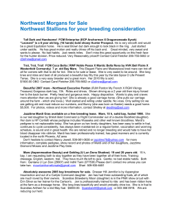 To View the Morgans For Sale Flyer!