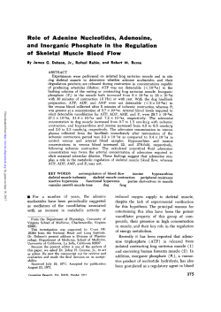 Role of Adenlne Nucleotides, Adenosine, and Inorganic Phosphate