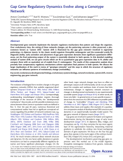 Gap Gene Regulatory Dynamics Evolve along a Genotype Network