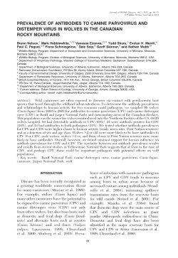 prevalence of antibodies to canine parvovirus and distemper virus in