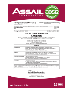 Assail - Chippers, Inc