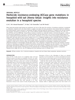 Herbicide resistance-endowing ACCase gene mutations in