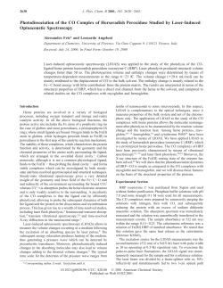 Photodissociation of the CO Complex of Horseradish Peroxidase