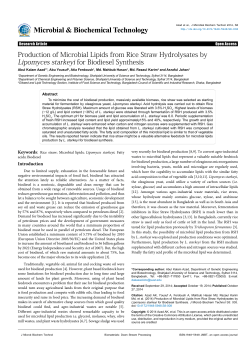 Production of Microbial Lipids from Rice Straw Hydrolysates by