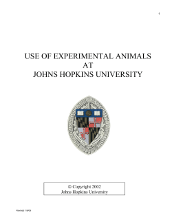 Use of Animals at Johns Hopkins University