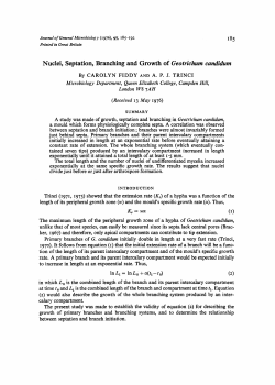 Nuclei, Septation, Branching and Growth of