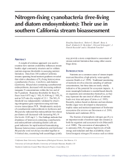Nitrogen-fixing cyanobacteria (free-living and diatom endosymbionts