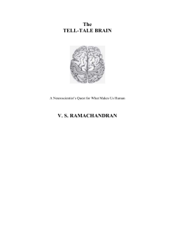 The TELL-TALE BRAIN VS RAMACHANDRAN