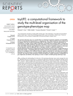toyLIFE: a computational framework to study the multi