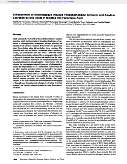 Enhancement of Secretagogue-induced Phosphoinositide Turnover