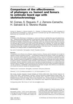 PDF - Universidad de Granada