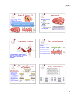 Meat and Fish. - University of San Diego Home Pages