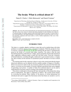 The brain: What is critical about it?