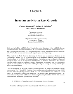Invertase Activity in Root Growth - Association for Biology Laboratory