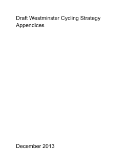 Appendices - Westminster City Council