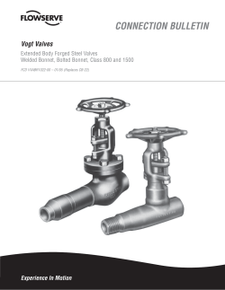Extended Body Forged Steel Valves