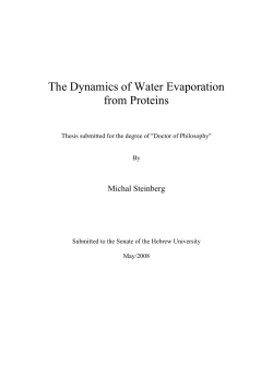 The Dynamics of Water Evaporation from Proteins