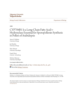 CYP704B1 Is a Long-Chain Fatty Acid v
