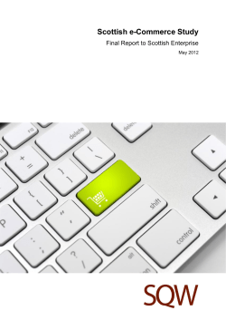 Scottish e-Commerce Study