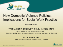 New Domestic Violence Policies: Implications for Social Work Practice