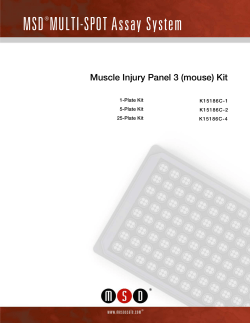 Muscle Injury Panel 3 Assay - Mouse