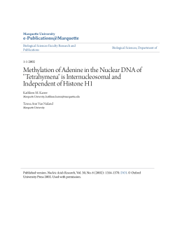 Methylation of Adenine in the Nuclear DNA of "Tetrahymena" is