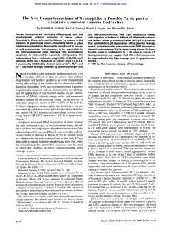 The Acid Deoxyribonuclease of Neutrophils: A