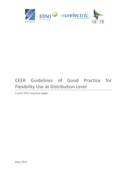 CEER Guidelines of Good Practice for Flexibility Use