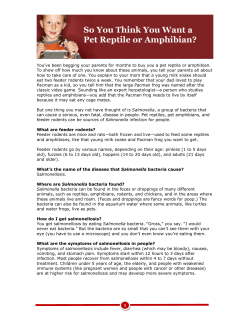 So You Think You Want a Pet Reptile or Amphibian?