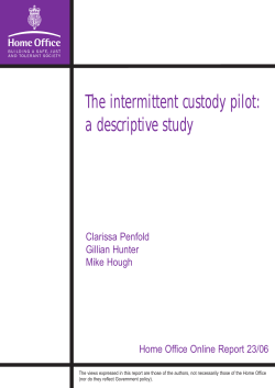 The intermittent custody pilot: a descriptive study