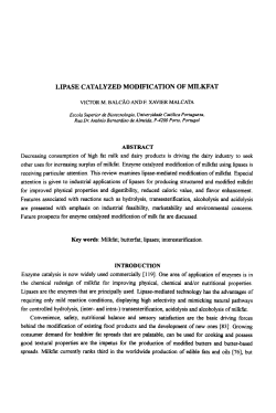 LIPASE CATALYZED MODIFICATION OF MILKFAT