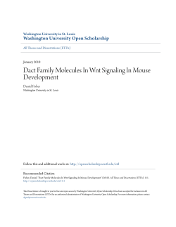 Dact Family Molecules In Wnt Signaling In Mouse Development