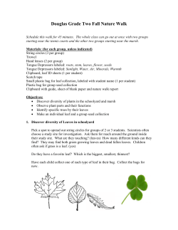 Fall Walk - Douglas PTO